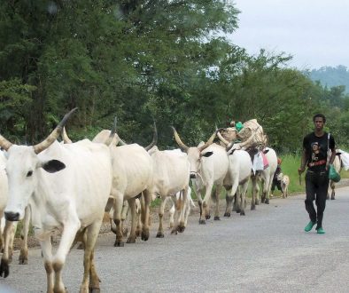 Fulani herdsmen